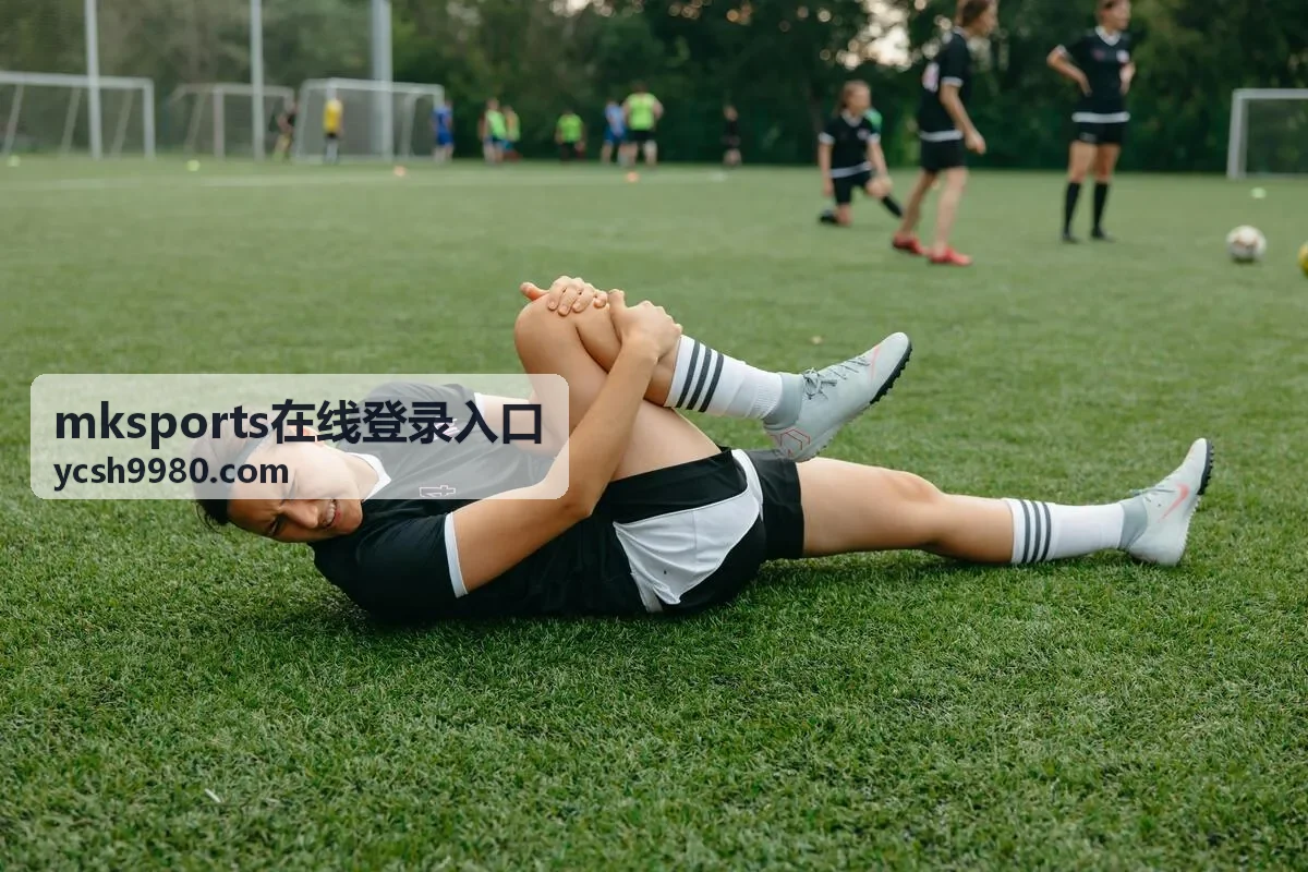 mksports在线登录入口账户安全与登录排查示意图