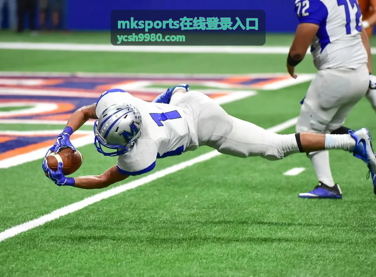 mksports在线登录入口验证码接收异常处理示意图